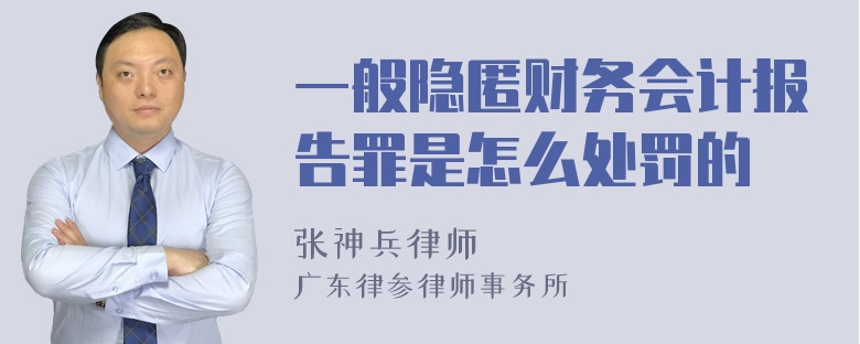 一般隐匿财务会计报告罪是怎么处罚的