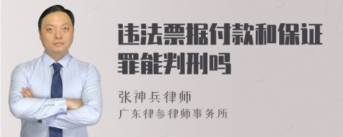 违法票据付款和保证罪能判刑吗