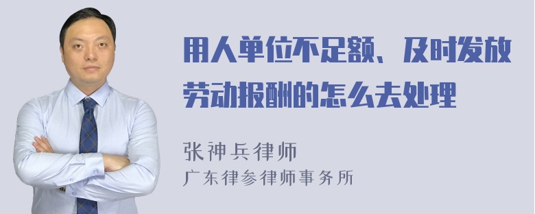 用人单位不足额、及时发放劳动报酬的怎么去处理