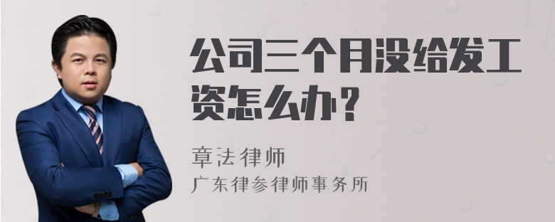 公司三个月没给发工资怎么办？