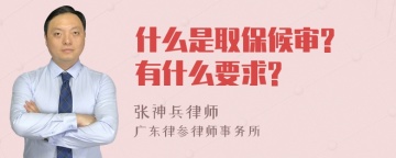 什么是取保候审? 有什么要求?