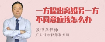 一方提出离婚另一方不同意应该怎么办