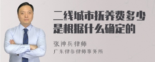 二线城市抚养费多少是根据什么确定的