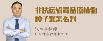 非法运输毒品原植物种子罪怎么判