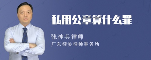 私用公章算什么罪