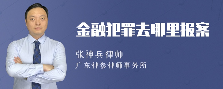 金融犯罪去哪里报案