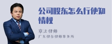 公司股东怎么行使知情权