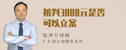 被判3000元是否可以立案