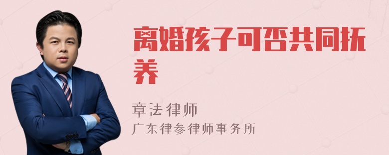 离婚孩子可否共同抚养