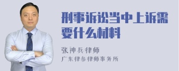 刑事诉讼当中上诉需要什么材料