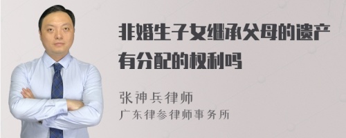 非婚生子女继承父母的遗产有分配的权利吗