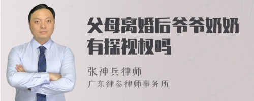 父母离婚后爷爷奶奶有探视权吗