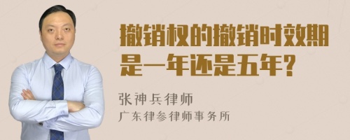 撤销权的撤销时效期是一年还是五年?