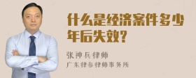 什么是经济案件多少年后失效？