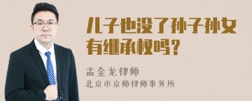 儿子也没了孙子孙女有继承权吗？