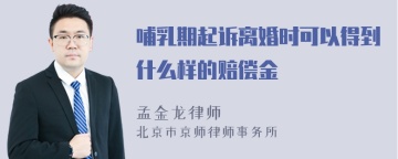 哺乳期起诉离婚时可以得到什么样的赔偿金