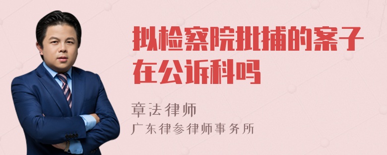 拟检察院批捕的案子在公诉科吗