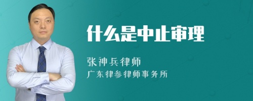 什么是中止审理