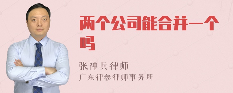 两个公司能合并一个吗