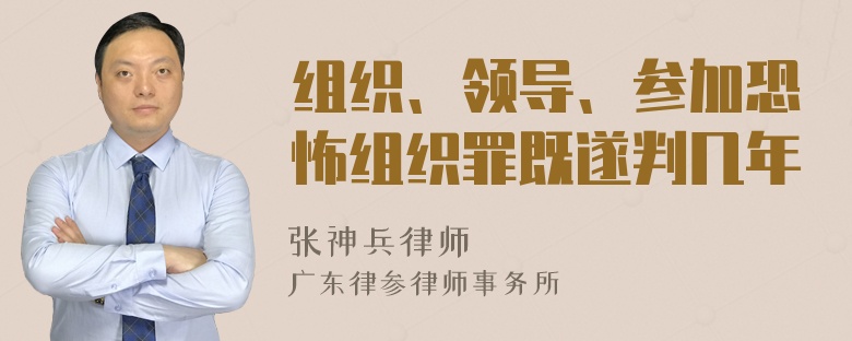 组织、领导、参加恐怖组织罪既遂判几年