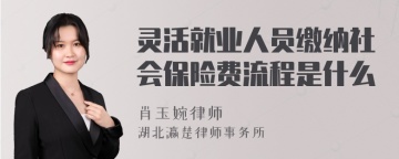 灵活就业人员缴纳社会保险费流程是什么