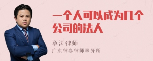 一个人可以成为几个公司的法人