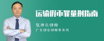 运输假币罪量刑指南