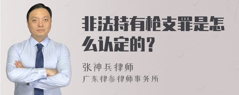 非法持有枪支罪是怎么认定的？