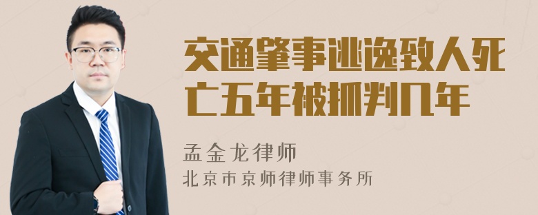 交通肇事逃逸致人死亡五年被抓判几年