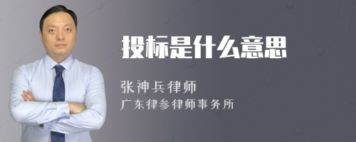 投标是什么意思