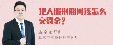 犯人服刑期间该怎么交罚金?