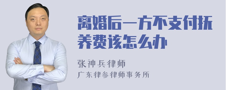 离婚后一方不支付抚养费该怎么办