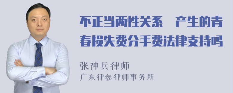 不正当两性关系​产生的青春损失费分手费法律支持吗