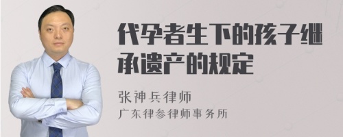 代孕者生下的孩子继承遗产的规定