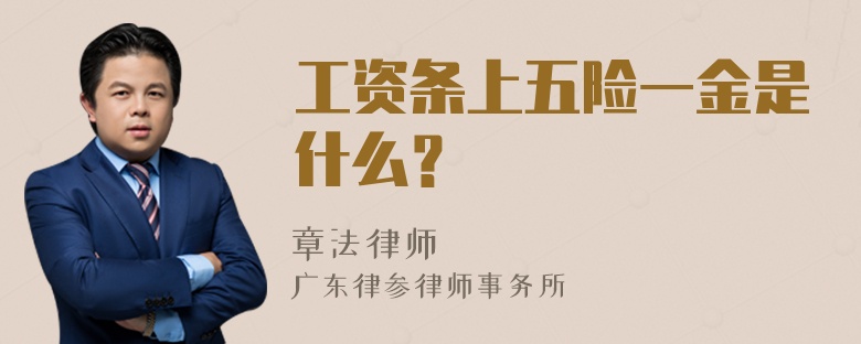 工资条上五险一金是什么？