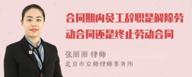 合同期内员工辞职是解除劳动合同还是终止劳动合同