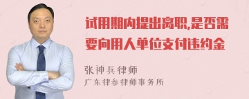 试用期内提出离职,是否需要向用人单位支付违约金