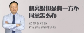 想离婚但是有一方不同意怎么办