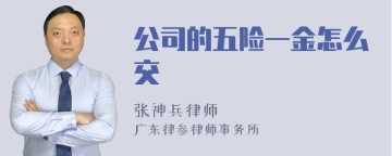 公司的五险一金怎么交