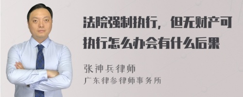 法院强制执行，但无财产可执行怎么办会有什么后果