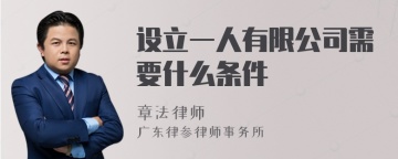 设立一人有限公司需要什么条件