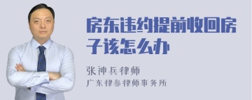 房东违约提前收回房子该怎么办