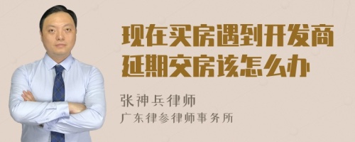 现在买房遇到开发商延期交房该怎么办