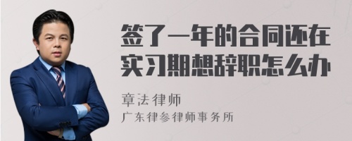 签了一年的合同还在实习期想辞职怎么办