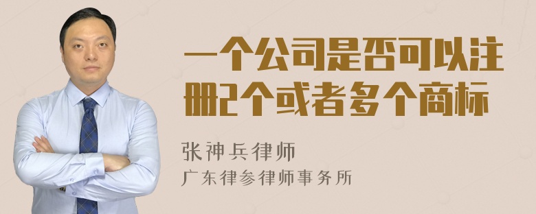 一个公司是否可以注册2个或者多个商标