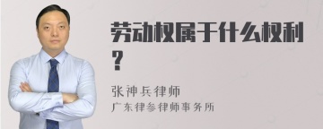 劳动权属于什么权利？