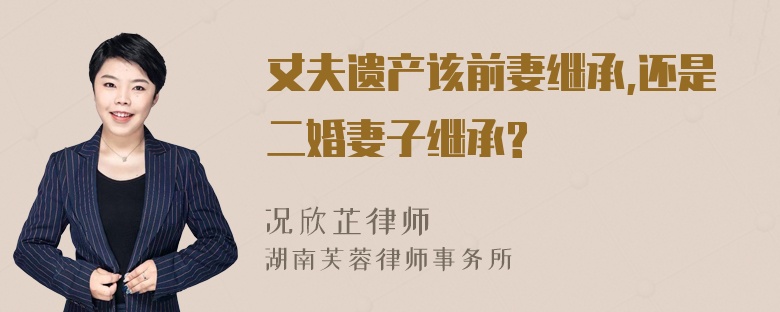 丈夫遗产该前妻继承,还是二婚妻子继承?