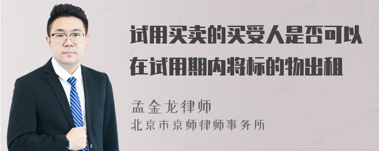 试用买卖的买受人是否可以在试用期内将标的物出租