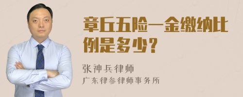 章丘五险一金缴纳比例是多少？