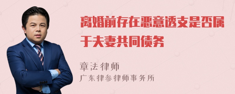 离婚前存在恶意透支是否属于夫妻共同债务